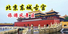 看操逼特写视频中国北京-东城古宫旅游风景区